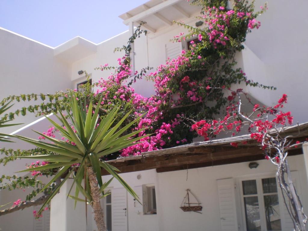 Paros Rita Studios Piso Livadi Ngoại thất bức ảnh
