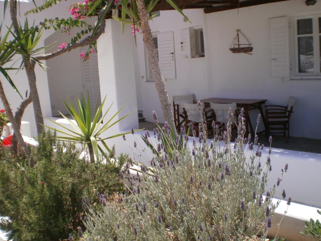 Paros Rita Studios Piso Livadi Ngoại thất bức ảnh